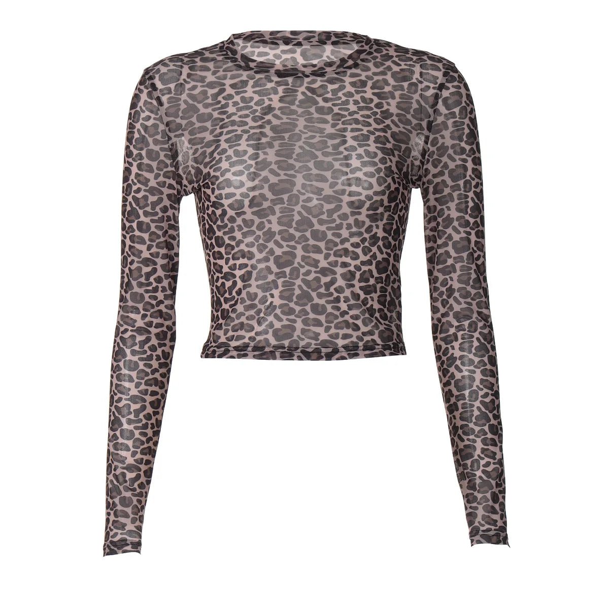 Two - Piece Set Leopard Print Sheer Mesh Top And Sequin Shorts Y2K Style - SN Wigs & More
