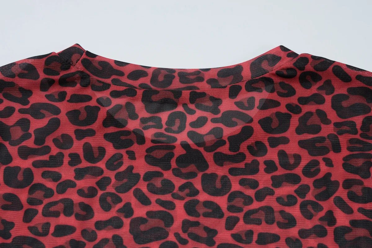 Two - Piece Set Leopard Print Sheer Mesh Top And Sequin Shorts Y2K Style - SN Wigs & More