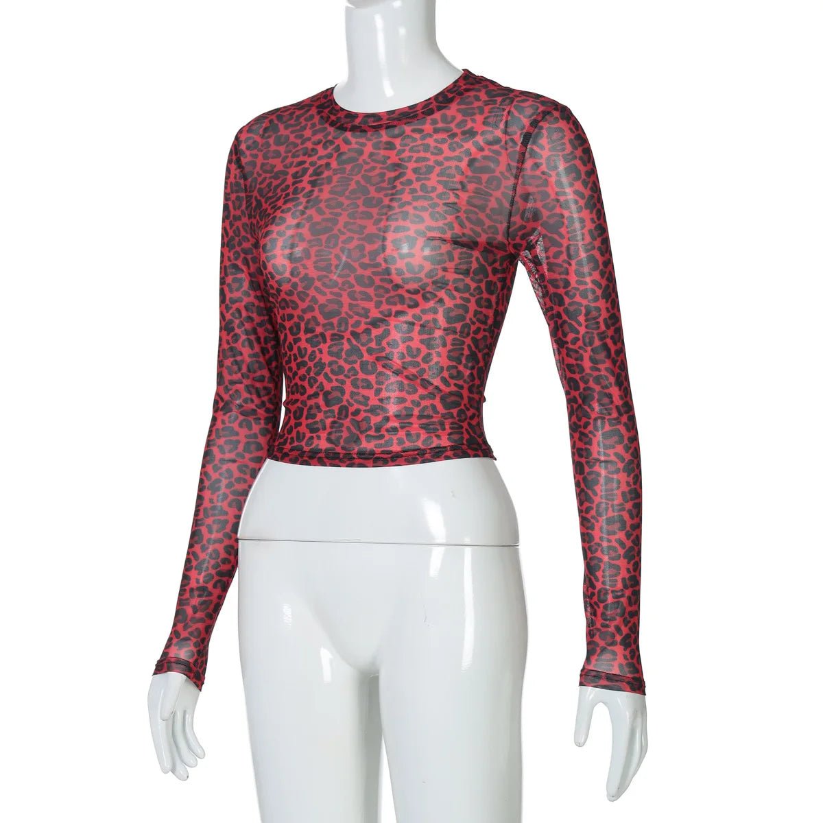 Two - Piece Set Leopard Print Sheer Mesh Top And Sequin Shorts Y2K Style - SN Wigs & More