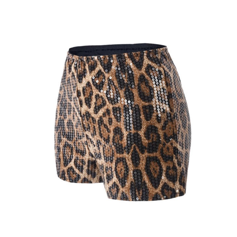 Two - Piece Set Leopard Print Sheer Mesh Top And Sequin Shorts Y2K Style - SN Wigs & More