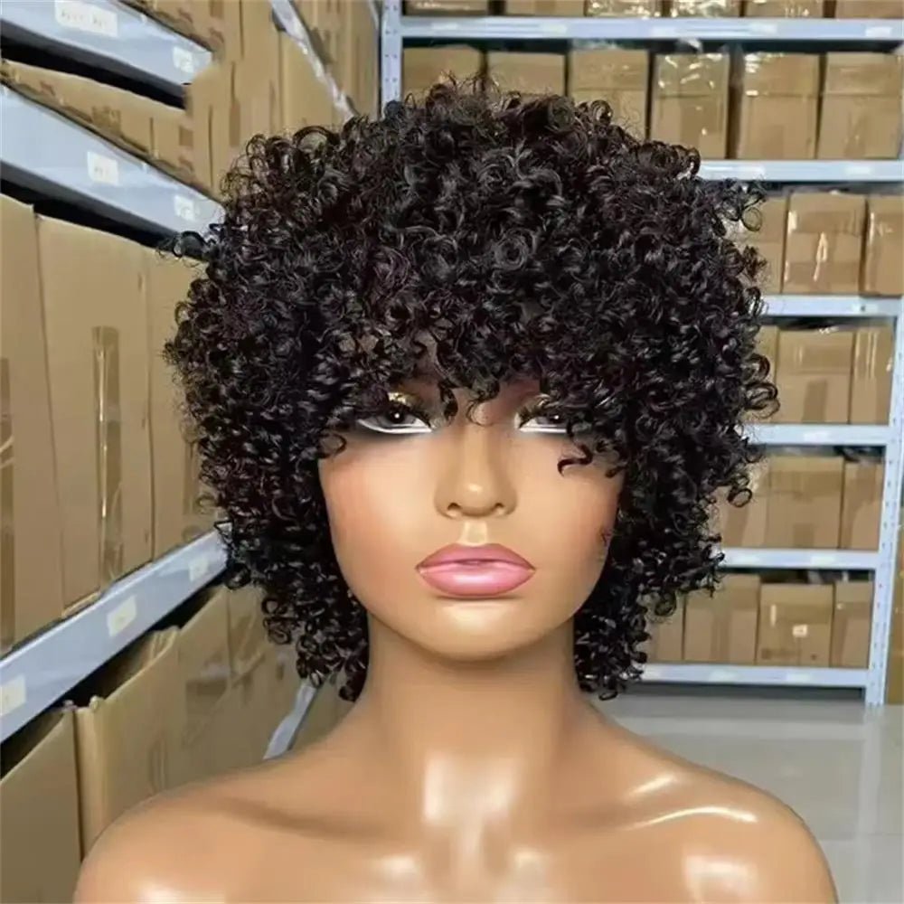 Wig 100 Percent Human Hair Kinky Curly Natural Look Soft and Silky - SN Wigs & More