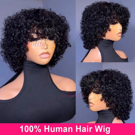 Wig 100 Percent Human Hair Kinky Curly Natural Look Soft and Silky - SN Wigs & More