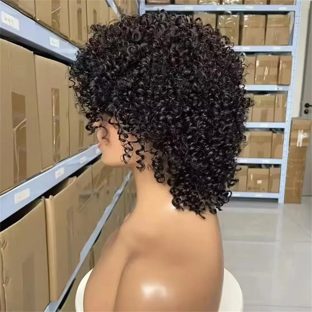 Wig 100 Percent Human Hair Kinky Curly Natural Look Soft and Silky - SN Wigs & More