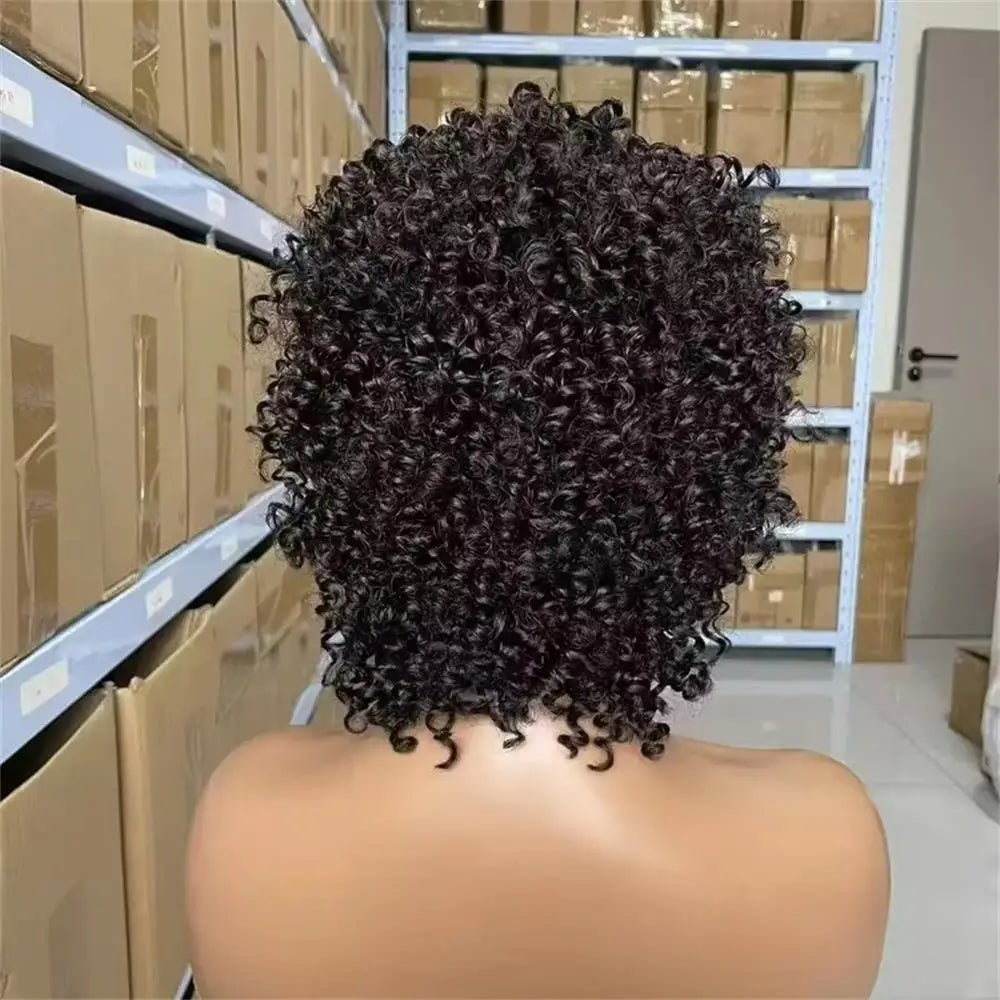 Wig 100 Percent Human Hair Kinky Curly Natural Look Soft and Silky - SN Wigs & More