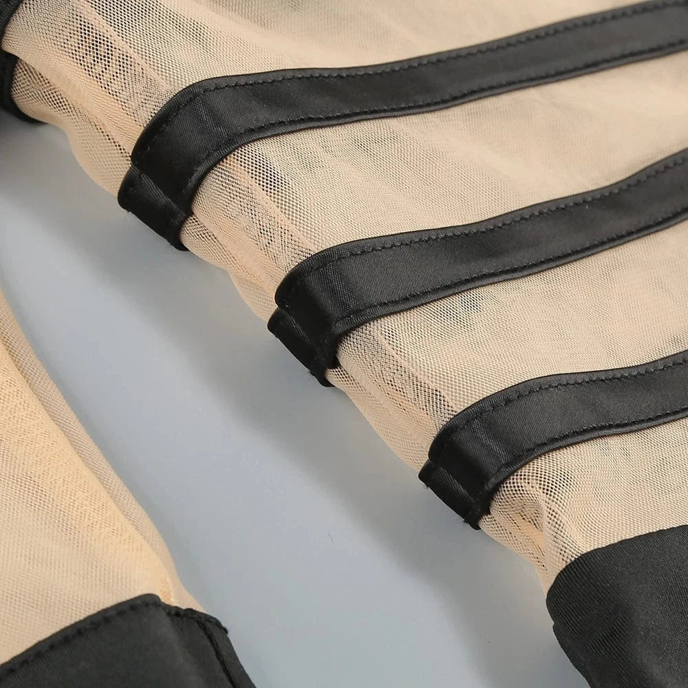 Women's 2025 Sexy Long Sleeve Mesh Ankle-Length Dress Celebrity Sheer Elegant Cut Out Details for Party Evening Club Vestido