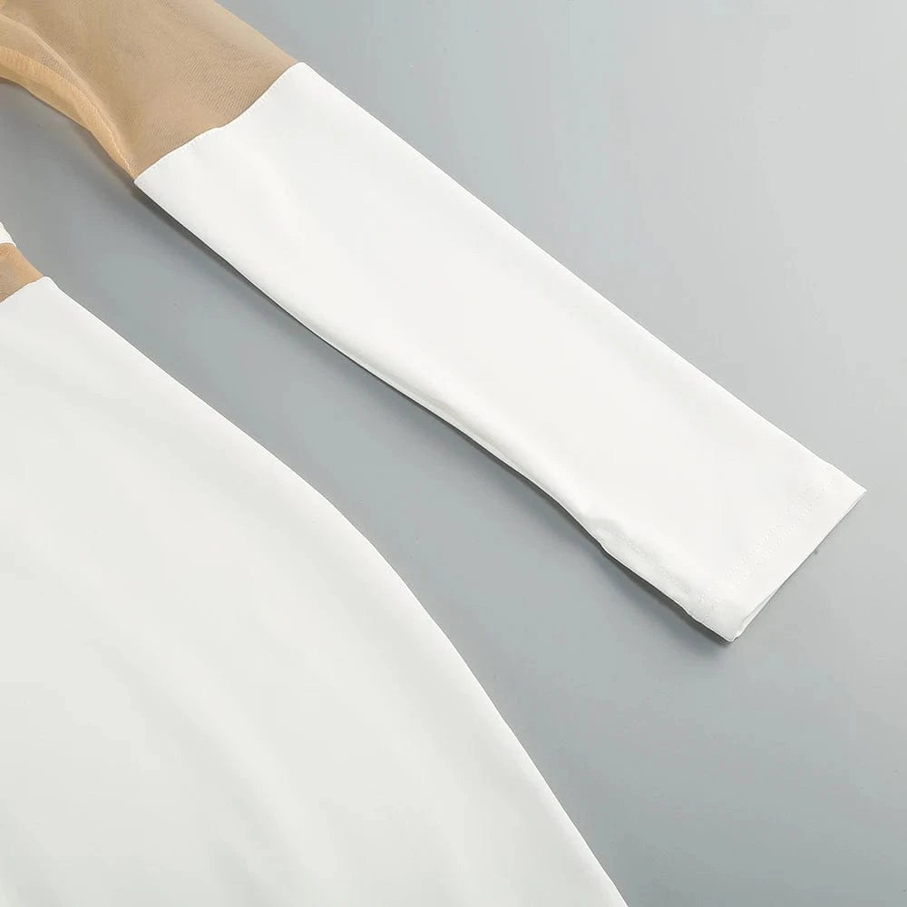 Women's 2025 Sexy Long Sleeve Mesh Ankle-Length Dress Celebrity Sheer Elegant Cut Out Details for Party Evening Club Vestido