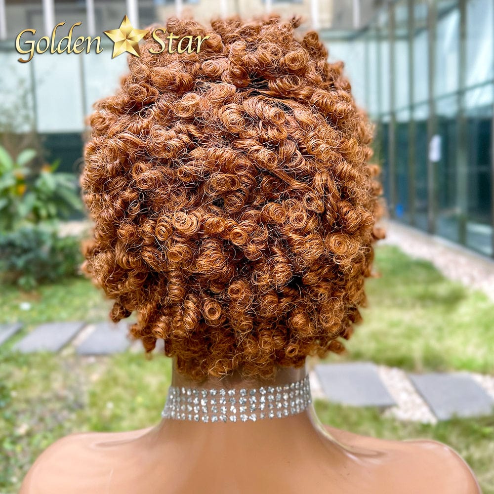 06 GD Popular Pixie Human Hair Wig Brazilian 8 Inch Cut Wig Short Ombre Color Bob Lace Front Wig With Wholesale Price