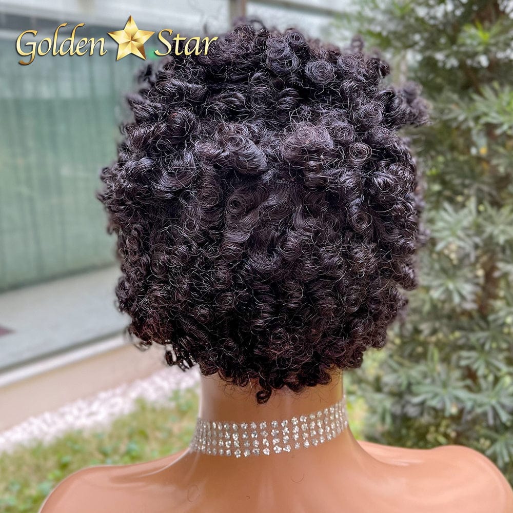 08 GD Popular Pixie Human Hair Wig Brazilian 8 Inch Cut Wig Short Ombre Color Bob Lace Front Wig With Wholesale Price
