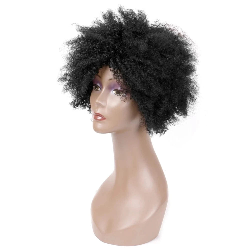 10 Inches / Q09520 FH Afro Kinky Curly Human Hair Wigs 10 Inch Virgin Brazilian Hair Wig for Women