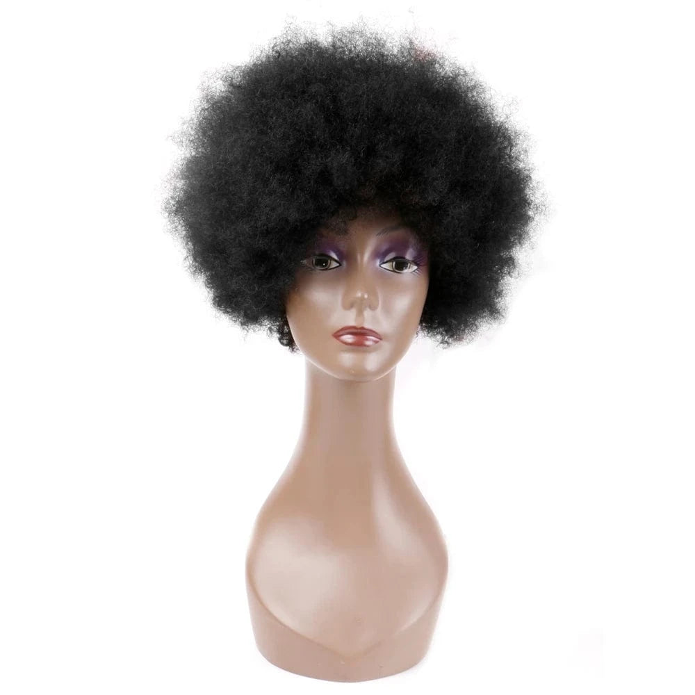 10 Inches / Q09524 FH Afro Kinky Curly Human Hair Wigs 10 Inch Virgin Brazilian Hair Wig for Women