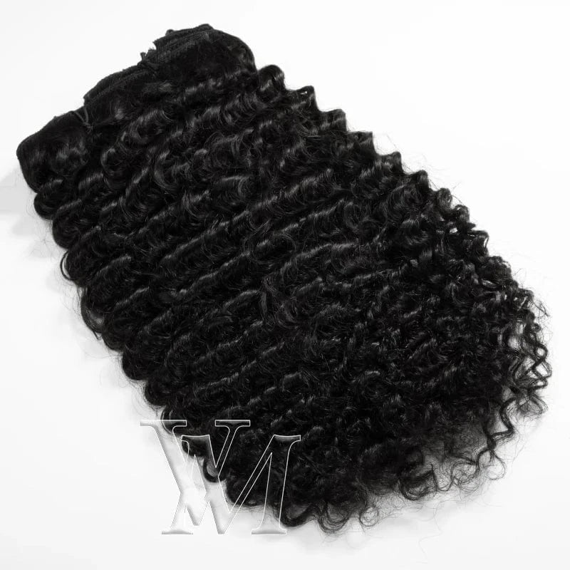 12 Inches / 3B VMAE Burmese 100g 120g Natural Black Afro Kinky Curly 3A 3B 3C 4A 4B 4C Clip Ins Human Hair Clip In Extensions for Black Women