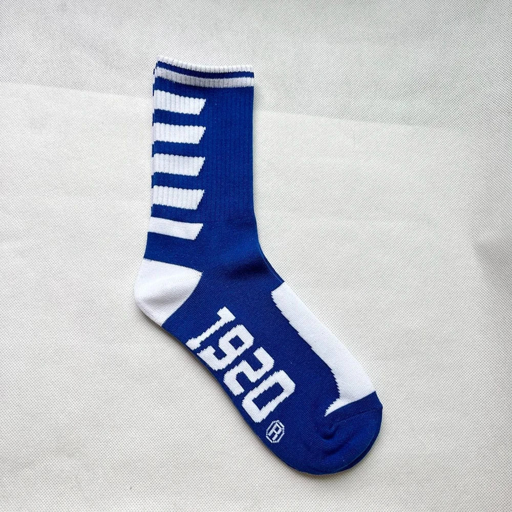 1920 Custom Letter Logo Organization Different Pattern Sorority Personalized Versatile ZOB Cotton Sock Zeta Phi Beta Dove 1920 Socks