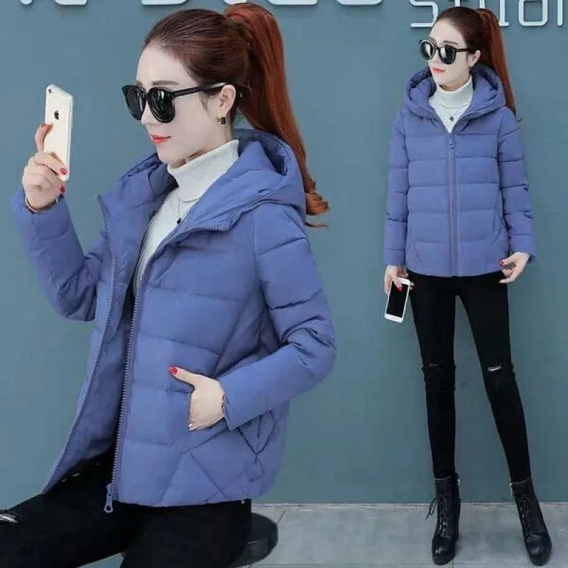 2 XL / Blue Wholesale Winter Large Size Women's Fashion Loose Short Korean Version  Cotton-padded Coat  Hooded Women Coat
