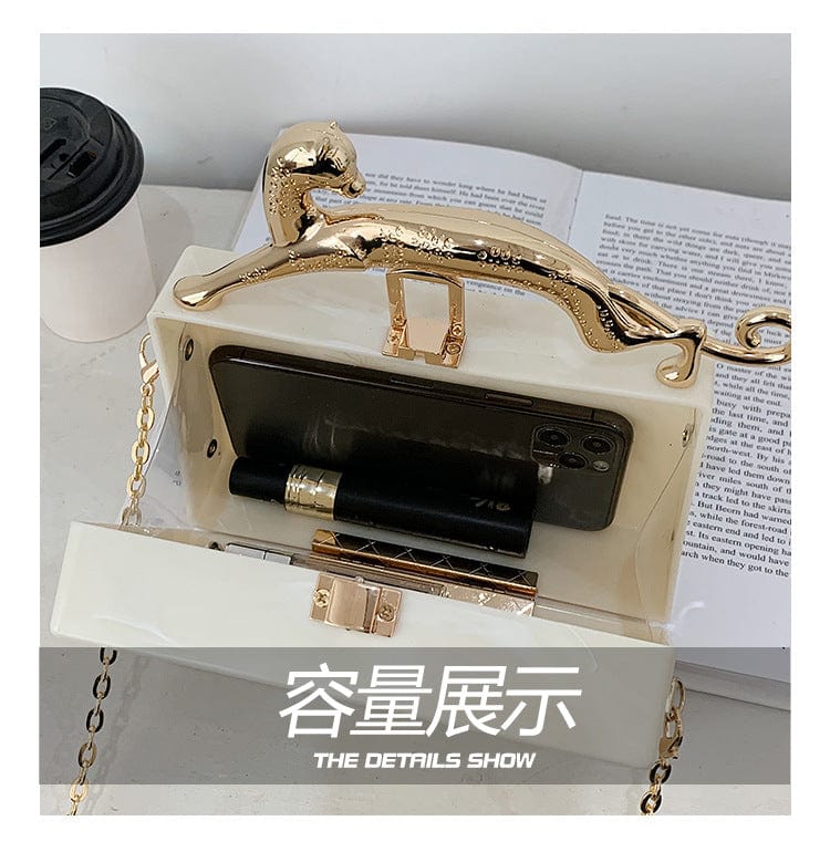 2022 Newest Unique acrylic handbag purse personalized clasp purse for girls