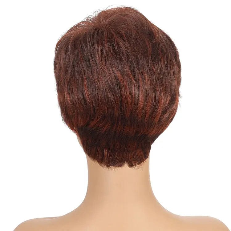 Brown Brown Color Women Synthetic Wigs