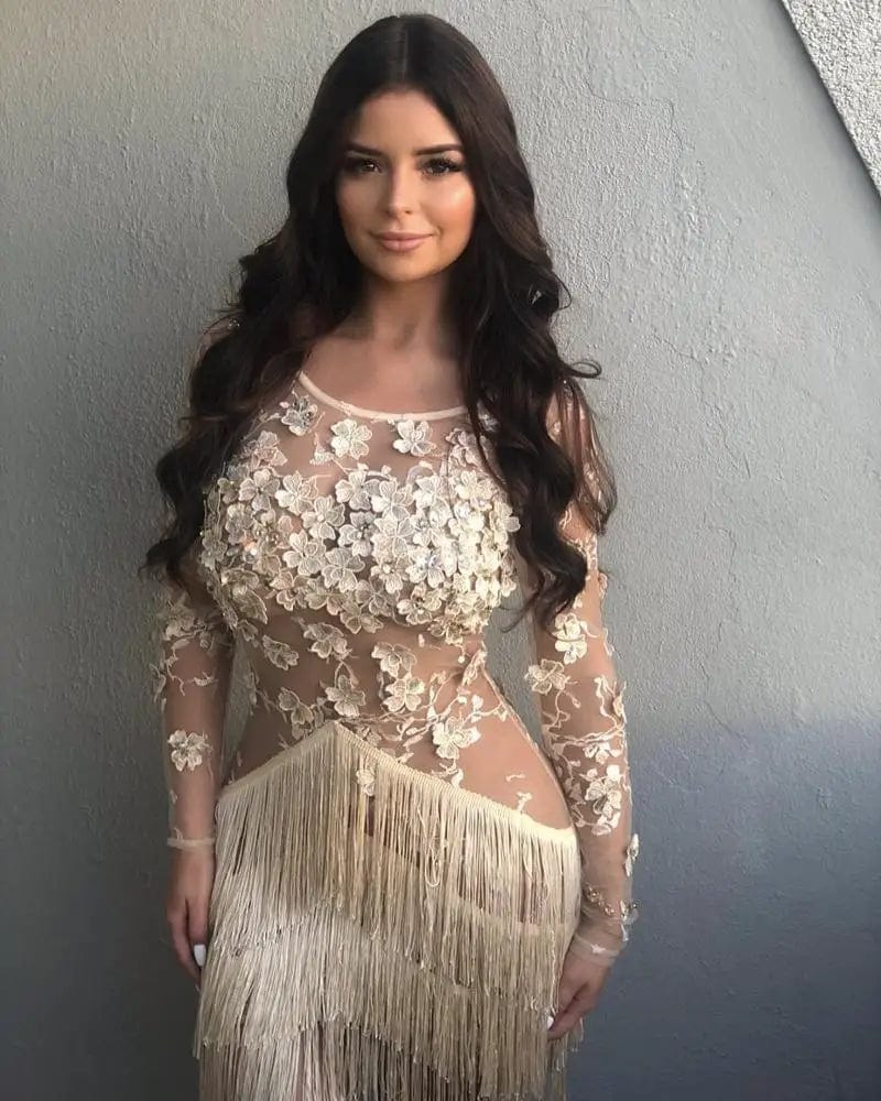 Customized / Nude Nude Long Sleeve Lace Embroidery Floral Crystal Tassel Sexy Bodycon Dress 2019