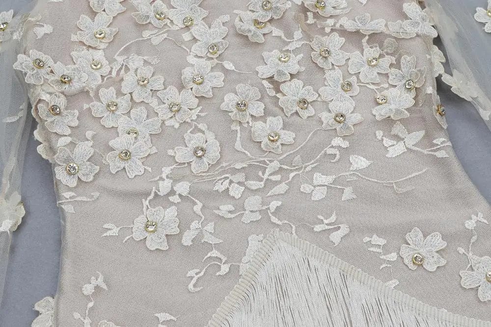 Customized / Nude Nude Long Sleeve Lace Embroidery Floral Crystal Tassel Sexy Bodycon Dress 2019