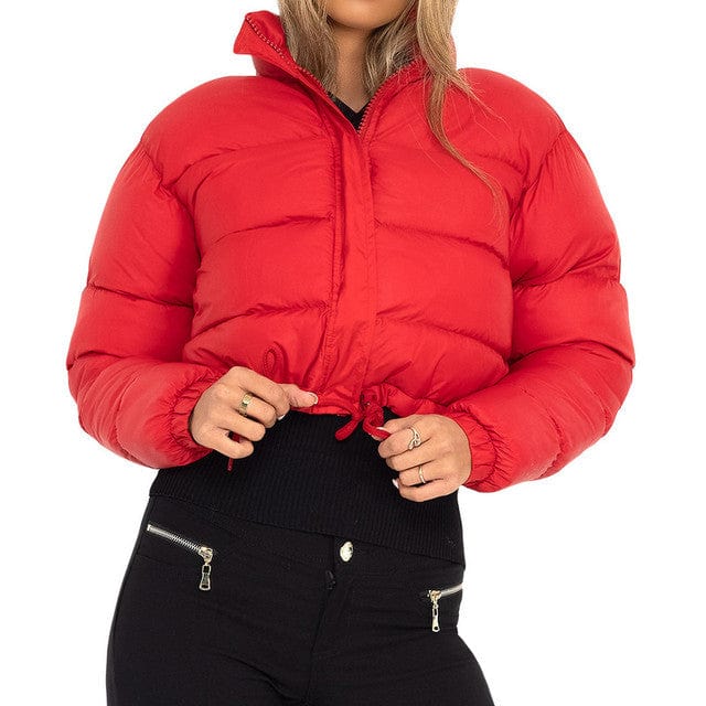 Fall Winter Clothes for Women  2023 Luxury Warm Puffer Jacket Cropped Coat y2k Hot Padding Short Down Coat New crop top jacket