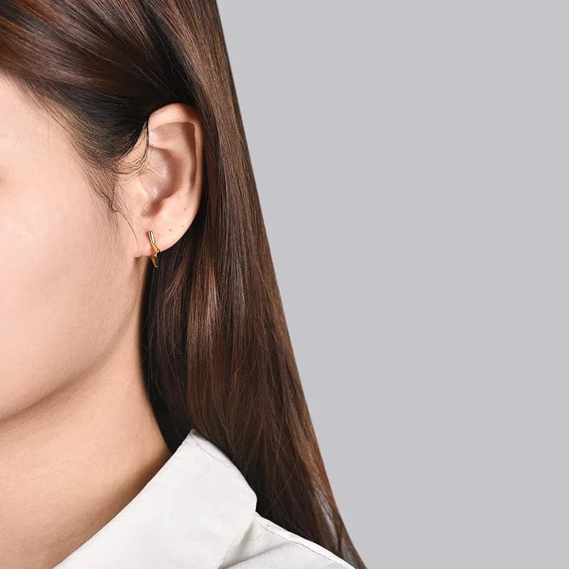 fashion jewelry 925 silver earrings jewelry 18K gold plated sterling silver  hoop earrings for women