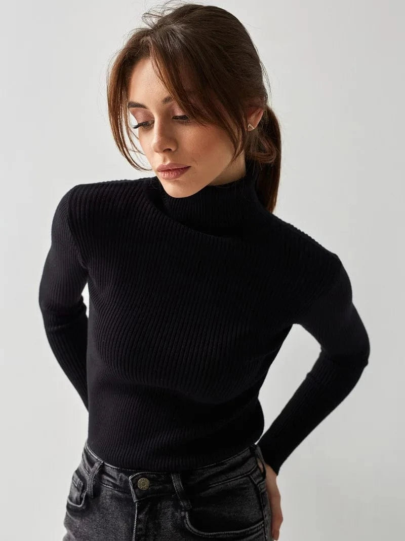 Free / Black Turtleneck sweater Knitted Base shirt European and American 2023 Autumn Sweater Turtleneck pullover Sweater for women