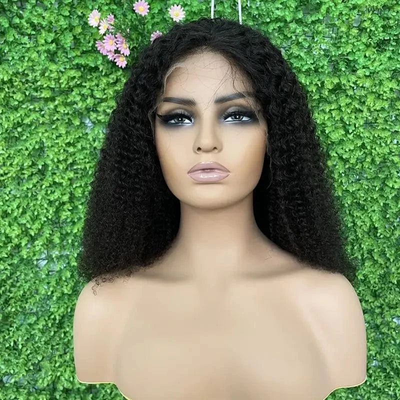 HD Lace Wig Transparent Swiss HD Full Lace Wig Cuticle Aligned Raw Brazilian Human Hair HD Lace curly  Frontal Wig