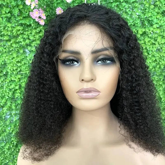 HD Lace Wig Transparent Swiss HD Full Lace Wig Cuticle Aligned Raw Brazilian Human Hair HD Lace curly  Frontal Wig
