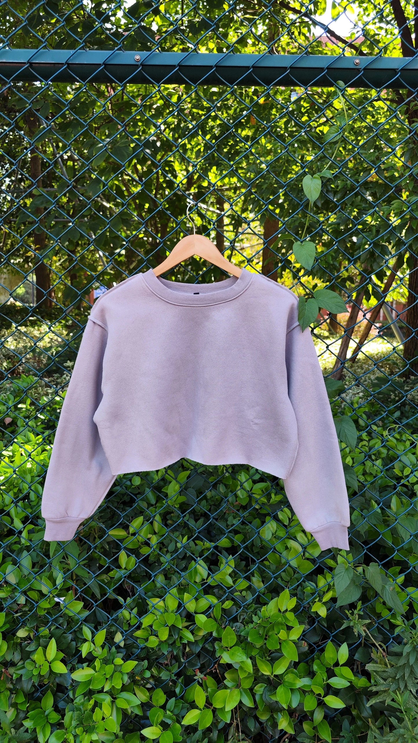 High quality 330gsm 100% cotton fleece inside cropped hoodies women crop top sweatshirt