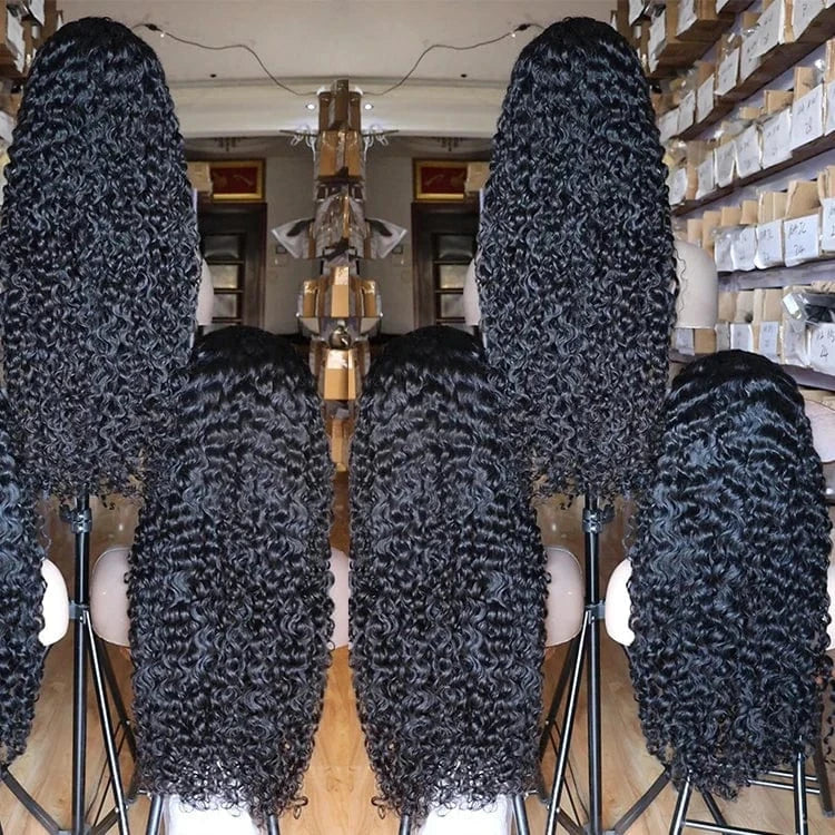 Hot Raw Vietnamese Human Hair Cuticle Aligned Burmese Curly Transparent 13x4 Lace frontal Wig
