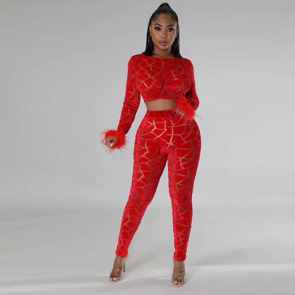 L / Red Velour Women Crop top Solid 2 Piece Pants Set Casual Clothing wholesale Velvet Two Piece Set With Feathers
