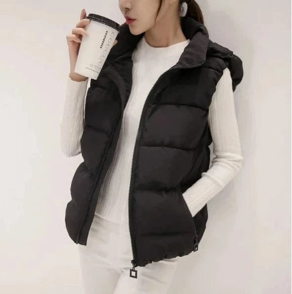 Liu Ming Dropshipping Products 2024 Autumn Winter Women Casual Warm Sleeveless Solid Color Hoodie Jacket Thick Waistcoat