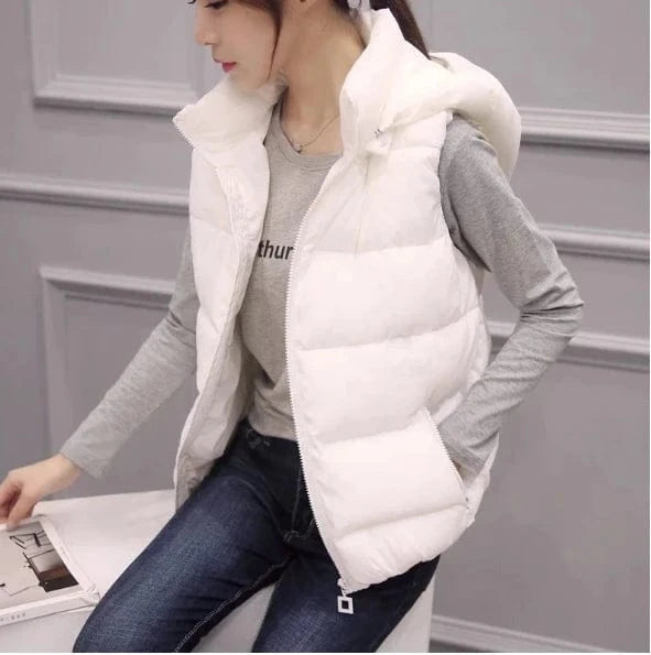 Liu Ming Dropshipping Products 2024 Autumn Winter Women Casual Warm Sleeveless Solid Color Hoodie Jacket Thick Waistcoat