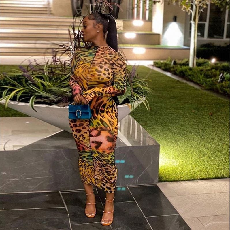 Mesh Leopard Pattern Print Maxi Dresses For Women Sexy See Through Ruffle Skinny Attractive Clubwear Party Clothing