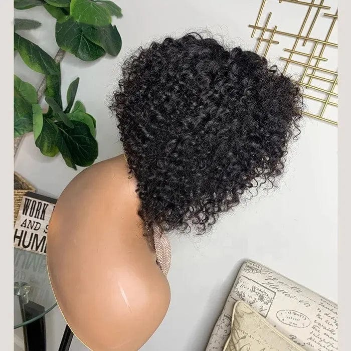 Natural Black Color Deep Curly Wig Pre Plucked Cuticle Aligned Brazilian Virgin Human Hair Lace Front Wigs