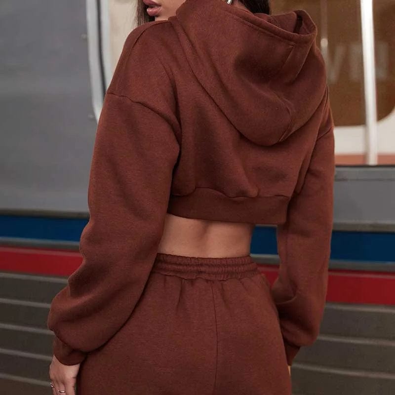 New arrivals fashion outwork Bulk Wholesale custom embroidery blank cotton french terry oversized cropped top hoodie for women