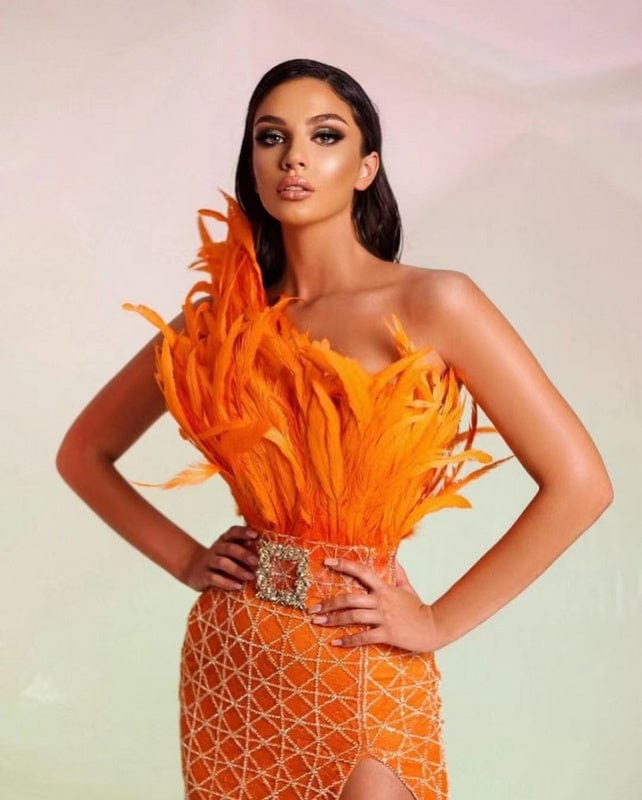 NOVANCE 2023 new arrivals elegant feather unique orange dress women bling sequins long gown robe soiree for evening party