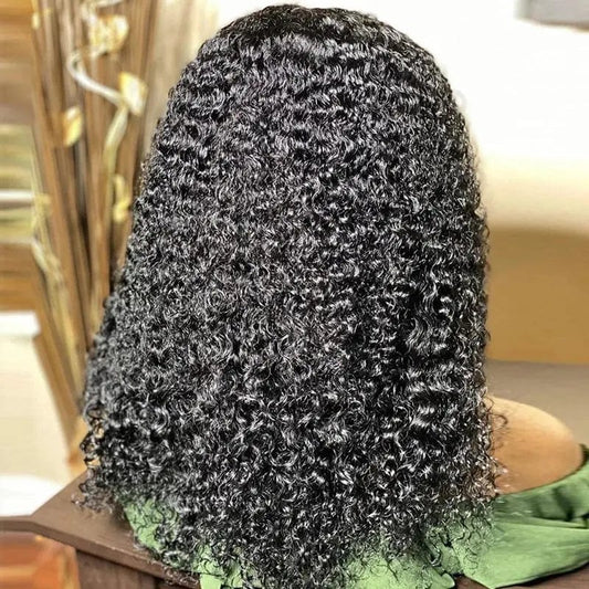 Pre Plucked Virgin Brazilian Transparent Swish Frontal Lace Wig Cuticle Aligned Curly Human Hair 13*4 Lace Frontal Wig