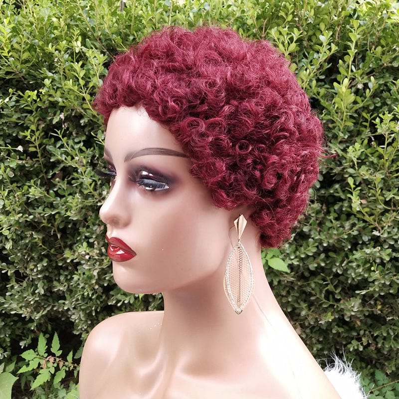 Short Afro Curly Human Hair Wigs for Black Women Short Hairstyles Pixie Cut Wigs with Thin Hair Black Non Lace Hair Wigs