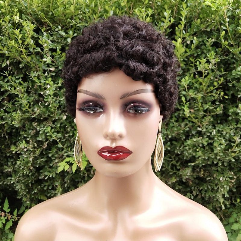 Short Afro Curly Human Hair Wigs for Black Women Short Hairstyles Pixie Cut Wigs with Thin Hair Black Non Lace Hair Wigs