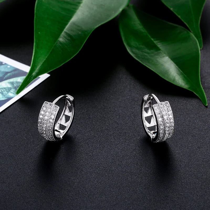 silver High Quality Silver Earrings Iced Out White Gold Plated Jewelry Hip Hop Bling CZ Earrings