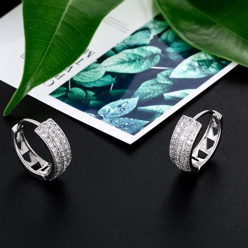 silver High Quality Silver Earrings Iced Out White Gold Plated Jewelry Hip Hop Bling CZ Earrings