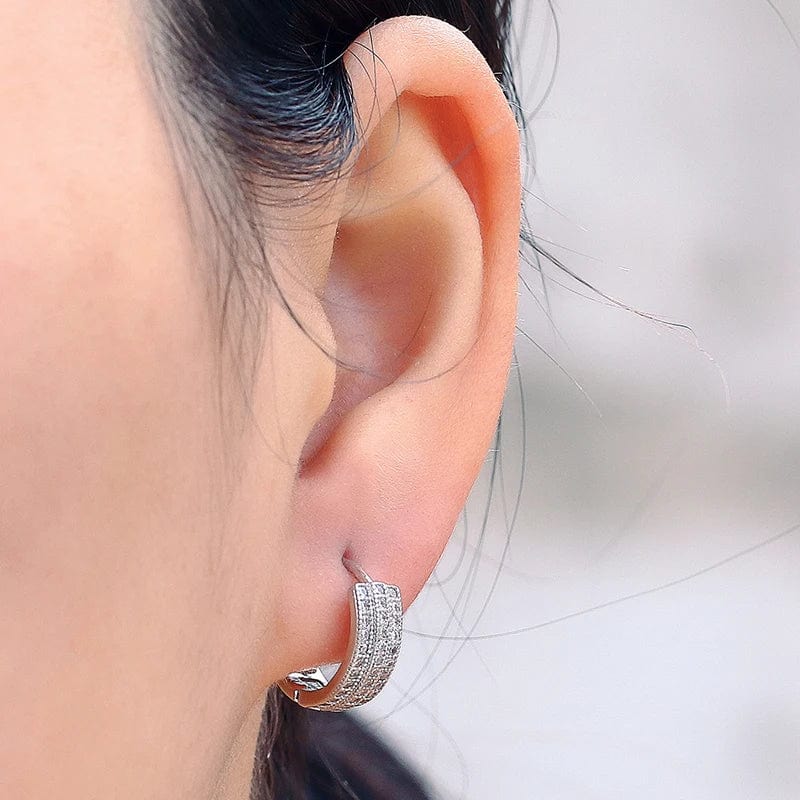 silver High Quality Silver Earrings Iced Out White Gold Plated Jewelry Hip Hop Bling CZ Earrings