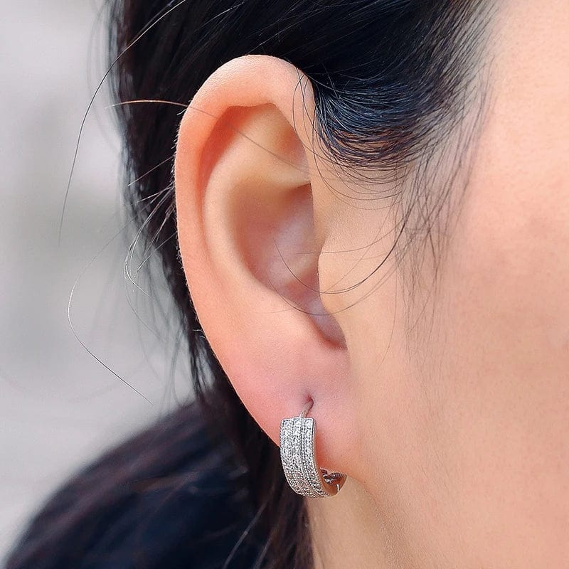 silver High Quality Silver Earrings Iced Out White Gold Plated Jewelry Hip Hop Bling CZ Earrings