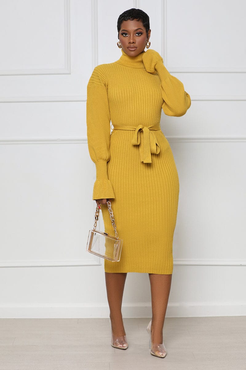 Trendy Women Clothes Turtleneck Knit Tie Waist Midi Dresses