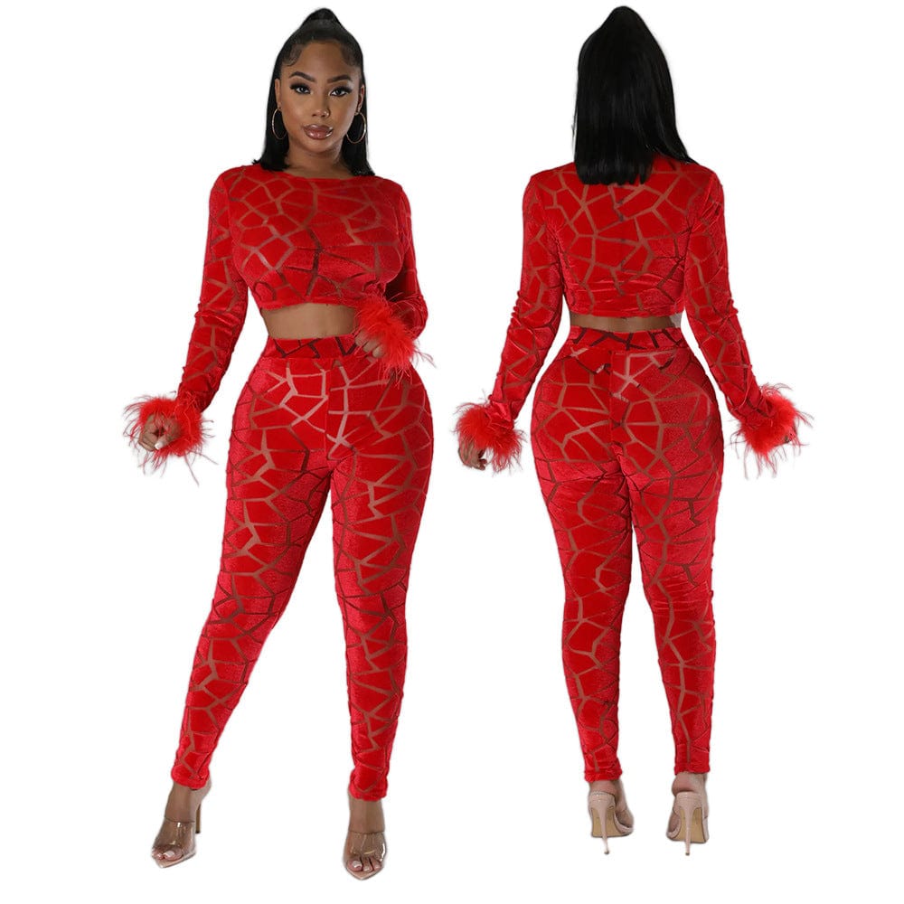 Velour Women Crop top Solid 2 Piece Pants Set Casual Clothing wholesale Velvet Two Piece Set With Feathers