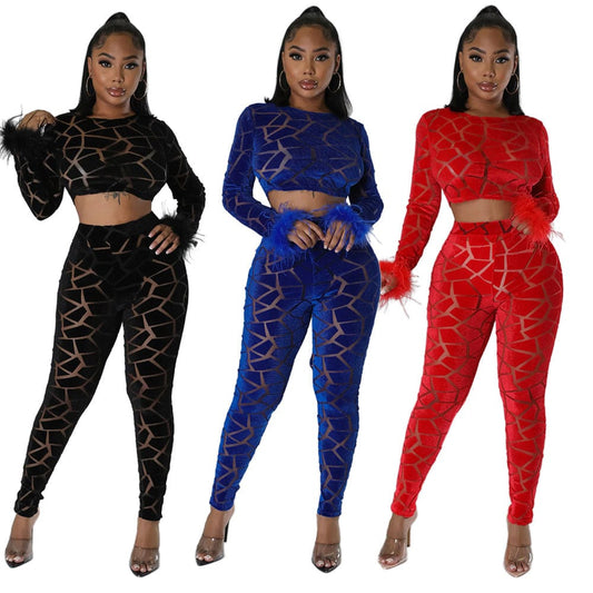 Velour Women Crop top Solid 2 Piece Pants Set Casual Clothing wholesale Velvet Two Piece Set With Feathers