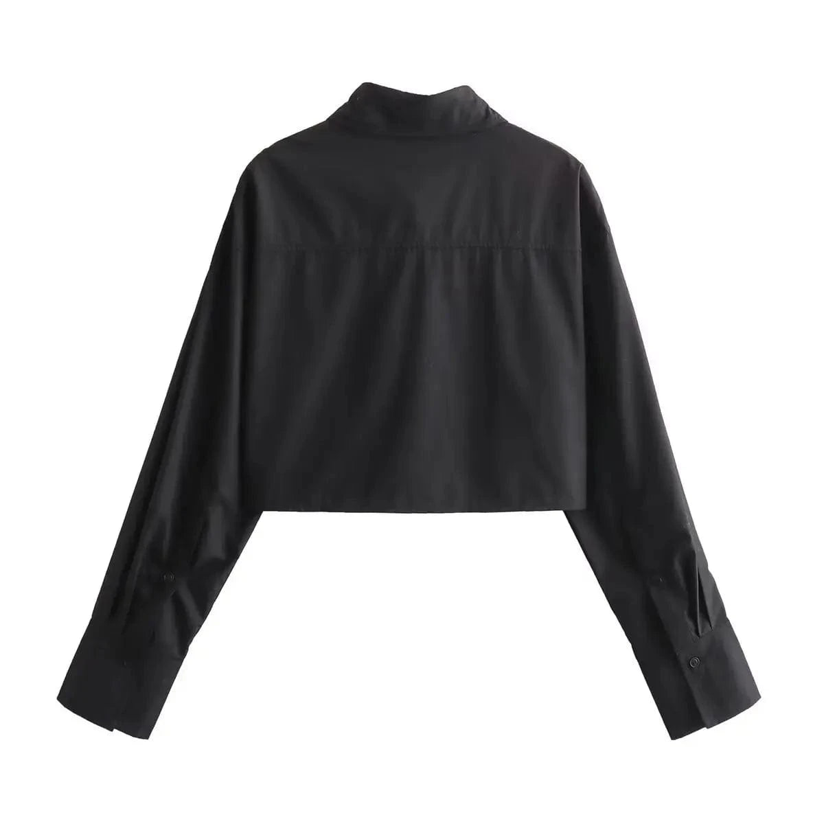 Wholesale fashionable lady elegant white long sleeve shirts crop top sexy plain blank women's blouses shirts