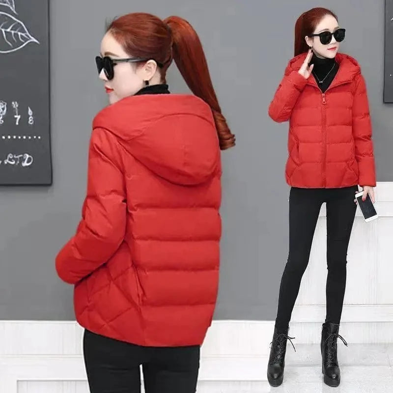 Wholesale Winter Large Size Women's Fashion Loose Short Korean Version  Cotton-padded Coat  Hooded Women Coat